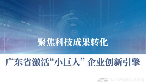 仲毅咨詢 聚焦科技成果轉化，激活廣東中小企業(yè)創(chuàng)新引擎