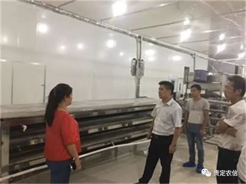 北京貴州米粉廠里的“金融夜校” 一碗粉背后的社會(huì)經(jīng)濟(jì)咨詢(xún)服務(wù)